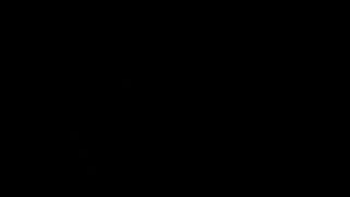 Kates-Palace - Paquet francaise 07