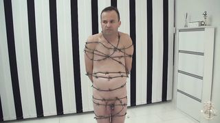 Kates-Palace - Der Weihnachtsbaum 02