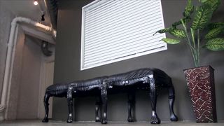 Riley Reid - Easy A+