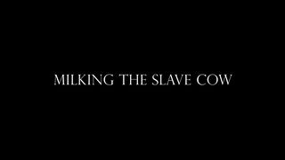 Alexandra & Madison Volt - Milking The Slave Cow