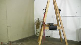 PlanetBitch - brooke nov bitch 1