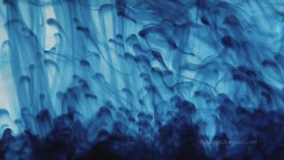 BondageLiberation - Making a pig of yourself