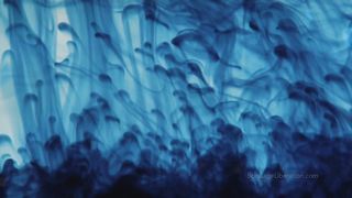 BondageLiberation - Torture Puzzle Chastity Torment