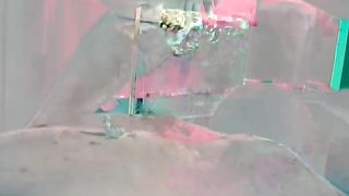 Golden Rain Goldegen Regen