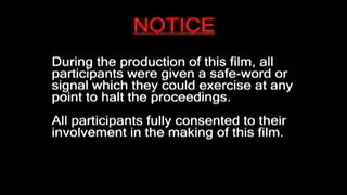 J.D Storm's Yes Mistress