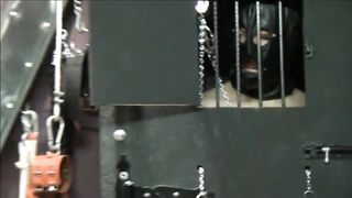 Lady Rochester - Suck it Bitch!