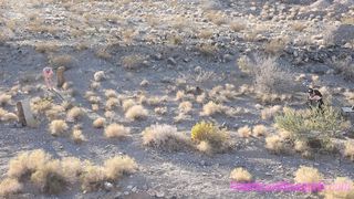 THE MEAN GIRLS CLUB - Turkey Hunt