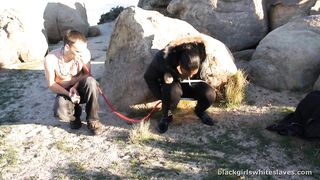 BlackGirlsWhiteSlaves - Nature Calls