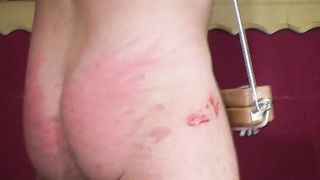 MadameSarka - StillAlive