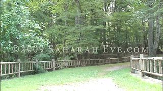 Saharah Eve - Dante Training - Mistress Dolly