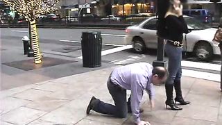 Saharah Eve - NYC Dog Collar - Mistress Dolly