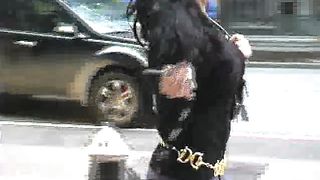 Saharah Eve - NYC Dog Collar - Mistress Dolly