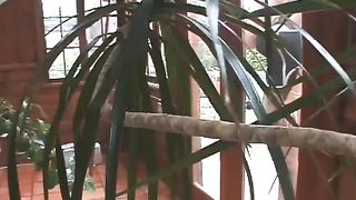 FaceSittingFreaks - Sarah Jay Fishnets Corsets And Facesitting