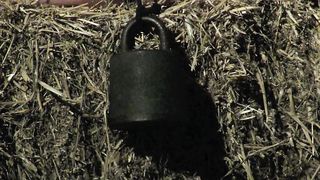 DanishFemdom - A quickie in the hay