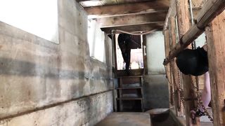 DanishFemdom - Captivity & Orgasm Denial