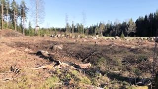 DanishFemdom - Wild Whipping