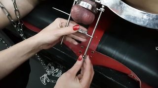 DanishFemdom - Ballstreched & assfucked