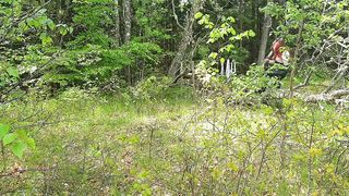 DanishFemdom - Forest Fuck