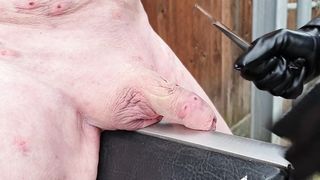 DanishFemdom - The garrote