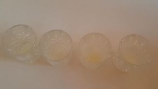 DanishFemdom - Glasses of cum Part 1