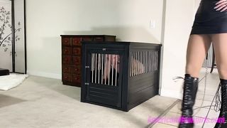 Goddess Platinum Branding