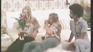 Dansk Skolepiger, 04