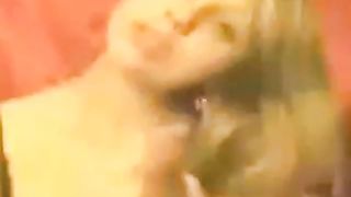 Teen hjemmelaget tease