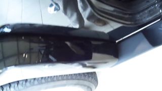 Exhibits in car dealership