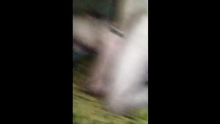 CUCKOLD Husband filming girl fucked by another man