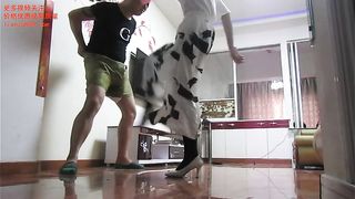 Chinese femdom ballbusting-02