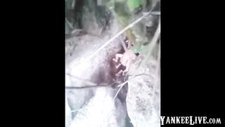 Caught Fucking In A Stream