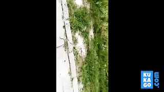 bundinha mole de leg