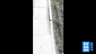 bundinha mole de leg