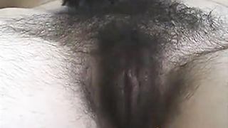 hairy SOPHIA brushing