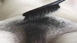hairy SOPHIA brushing