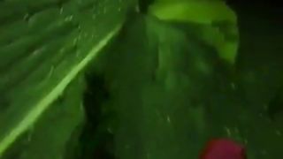 Amateur couple outdoor sex in the night