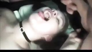 Laura die Samen Liter