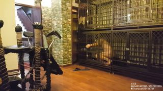 Chinese Femdom - 25112020 1A