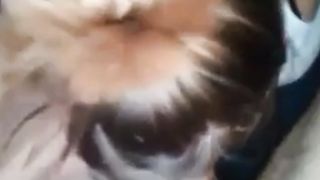 Godess girlfriend love to please her man deepthroating