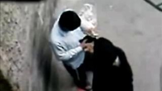 Turkish-arabic-asian hijapp mix photo 8