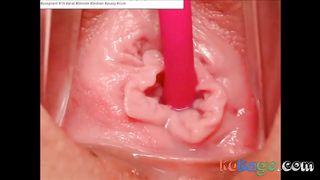 Lovense Extreme Close-up