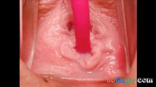 Lovense Extreme Close-up