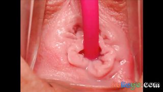 Lovense Extreme Close-up