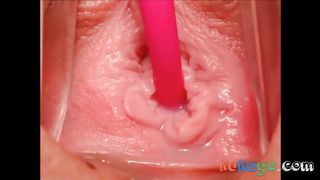 Lovense Extreme Close-up