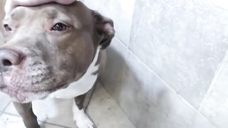 Skinny chick shows off her huge lips