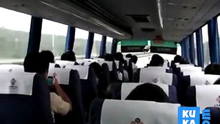 Solo #37 (Cougar on a Bus)