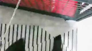 【无情大人】狗笼内调教舔脚狗【18分钟】【高清】