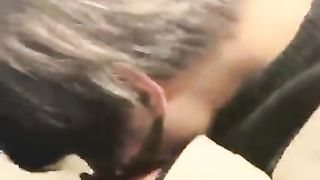 调迈巴赫狗（续集）（上部）【曦s】