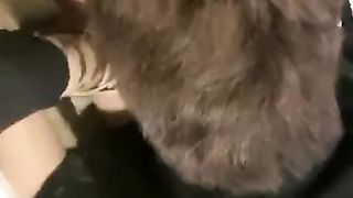 调迈巴赫狗（续集）（上部）【曦s】