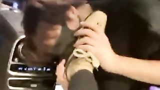 调迈巴赫狗（续集）（上部）【曦s】